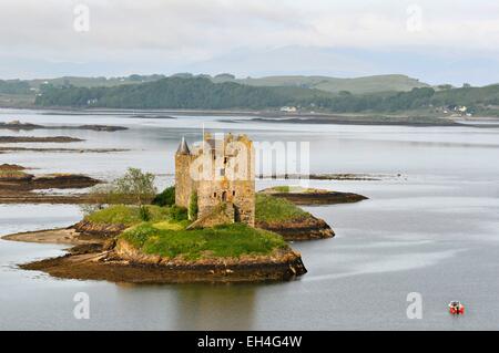 Regno Unito, Scozia, altopiani, castello di Stalker sulle rive di Loch Linnhe tra Fort William e Oban Foto Stock