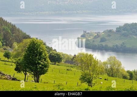 Regno Unito, Scozia, Drumnadrochit, Loch Ness e il castello Urquhart rovine Foto Stock