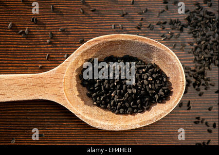 Tutto nero Nigella Sativa i semi secchi Foto Stock