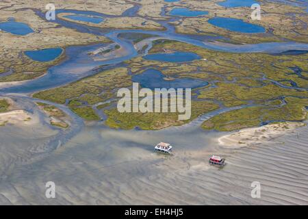 Francia, Gironde, Arcachon, case in legno su palafitte vicino a L'Ile aux Oiseaux (vista aerea)) Foto Stock