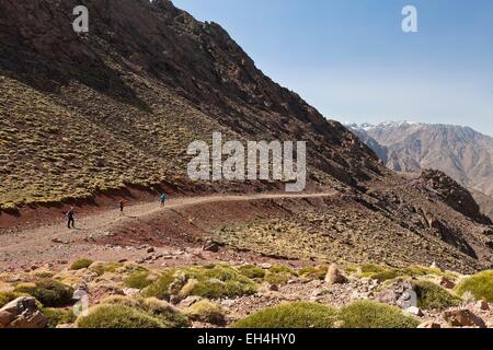 Il Marocco, Alto Atlante, Toubkal National Park, Tizi N'Tacheddirt a collare (2925m) gli escursionisti scendono verso il villaggio di Tacheddirt Foto Stock