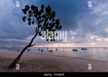 Maurizio Costa Sud Occidentale, Black River District, Le Morne Beach Foto Stock