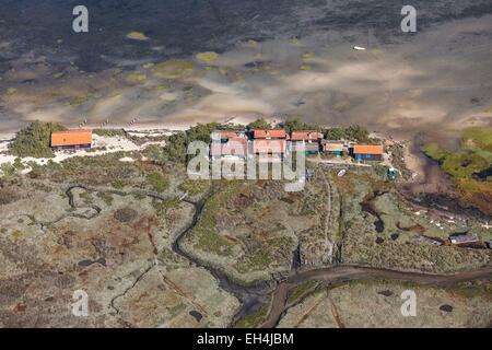 Francia, Gironde, Arcachon, case in legno su L'Ile aux Oiseaux (vista aerea) Foto Stock