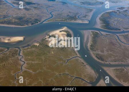 Francia, Gironde, Ares, Bassin d'Arcachon a bassa marea (vista aerea) Foto Stock