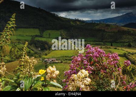 Ecuador, Imbabura, laguna Mojanda, paesaggio montano di vegetazione equatoriale sotto un cielo tempestoso Foto Stock