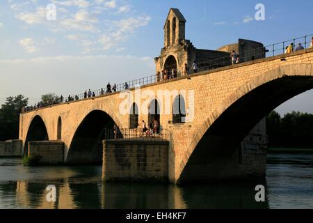 Francia, Vaucluse, Avignone centro storico sono classificati come patrimonio mondiale dall' UNESCO, il Ponte di Avignone visto dal fiume Foto Stock