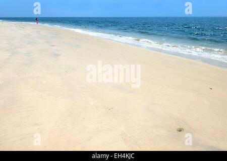 Il Gabon, Estuaire Provincia, granchio sulla Pointe Denis spiaggia fronte Libreville sull'altro lato dell'estuario del Gabon Foto Stock