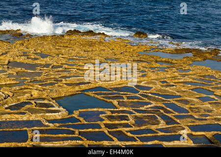 Malta e Gozo, sale di Xwenji ancora gestite oggi Foto Stock