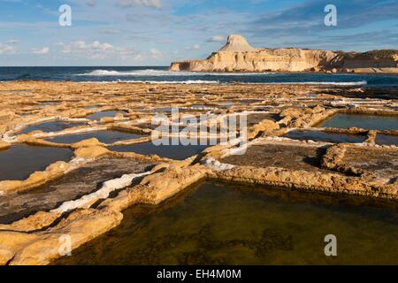 Malta e Gozo, sale di Xwenji ancora gestite oggi Foto Stock