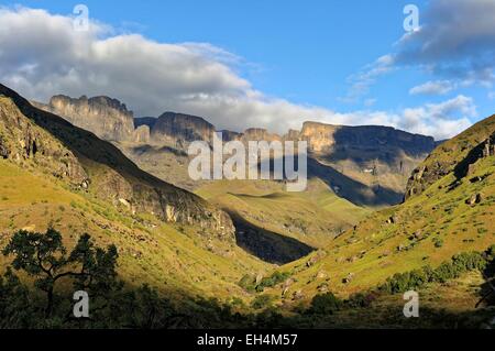 Sud Africa, Kwazulu Natal, Drakensberg mountains, Parco uKhahlamba, classificato come patrimonio mondiale dall UNESCO, Cattedrale di picco Valley Foto Stock