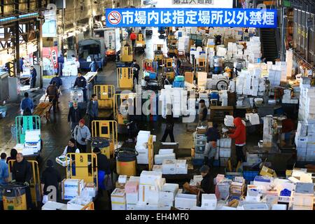 Giappone, isola di Honshu, Tokyo, Chuo, Tsukiji distretto, mercato del pesce Foto Stock