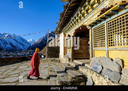 Il Nepal, Gandaki zona, Tsum valley trek, Mu Gompa monastero (alt.3580m) Foto Stock