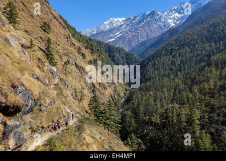 Il Nepal, Gandaki zona, Tsum valley trek, il percorso tra Chumling (alt.2386m) e Chokangparo o Chekampar (alt.3031m) Foto Stock