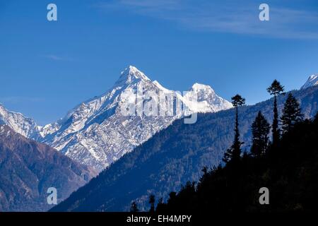 Il Nepal, Gandaki zona, Circuito di Manaslu, tra Prok e lho, il Ganesh Himal gamma in background con Ganesh II (alt.7118m) Foto Stock