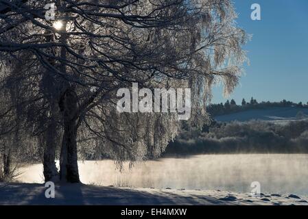 Francia, Puy de Dome, Manzat, Lachamp stagno Foto Stock