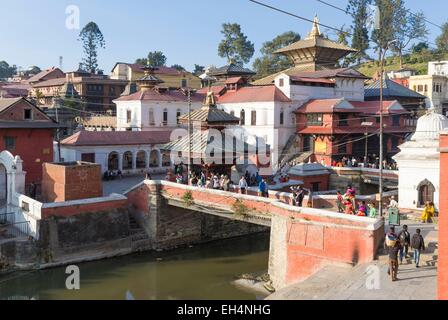 Il Nepal, valle di Kathmandu, Pashupatinath tempio indù, classificato come patrimonio mondiale dall' UNESCO Foto Stock