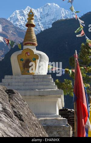 Il Nepal, il Parco Nazionale di Sagarmatha, classificato come patrimonio mondiale dall UNESCO, Solu Khumbu District, Everest regione, chorten Foto Stock