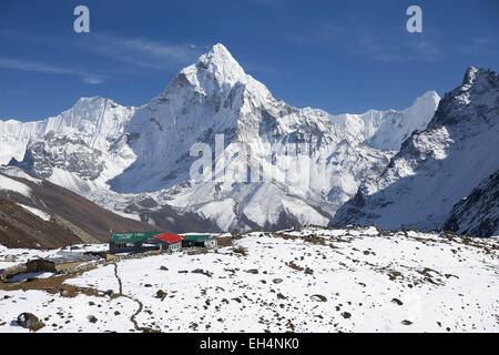 Il Nepal, il Parco Nazionale di Sagarmatha, classificato come patrimonio mondiale dall UNESCO, Solu Khumbu distretto, Dzongla lodges e Ama Dablam peak Foto Stock