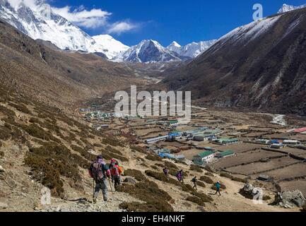 Il Nepal, il Parco Nazionale di Sagarmatha, classificato come patrimonio mondiale dall UNESCO, Solu Khumbu distretto, Dingboche village Foto Stock