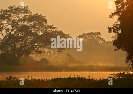 Il Brasile, Mato Grosso, Pantanal regione, Fiume Cuiaba, Black channel, sunrise Foto Stock