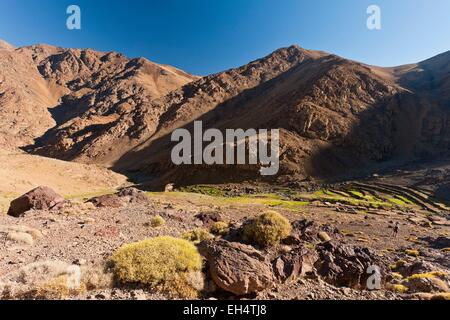 Il Marocco, Alto Atlante, Toubkal National Park, Ourika Valley, visto su Azib (ovili) di Tifni Foto Stock