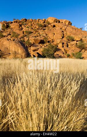 La Namibia, Kunene, regione di Damaraland, rocce intorno Twyfelfontein Foto Stock