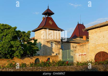 Francia, Saône et Loire, Milly Lamartine, Maconnais proprietà del vigneto Foto Stock