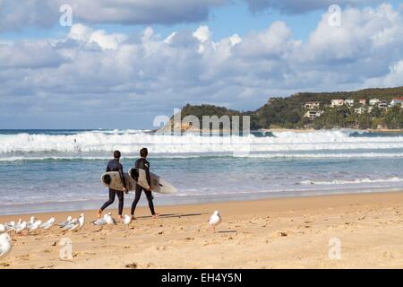 Australia, Nuovo Galles del Sud, Sydney Manly Beach, surfisti e argento gabbiani (Larus novaehollandiae) Foto Stock