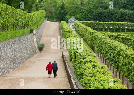 Francia, Indre et Loire, la Valle della Loira sono classificati come patrimonio mondiale dall' UNESCO, Villandry, castello di giardini di Villandry proprietà di Angelique e Henri Carvallo Foto Stock