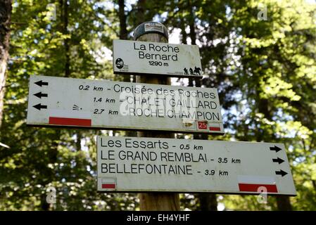 Francia, Doubs, Chapelle des Bois, Mont Risoux, Roche Bernard (1290 m), Escursionismo pannelli indicatori Foto Stock
