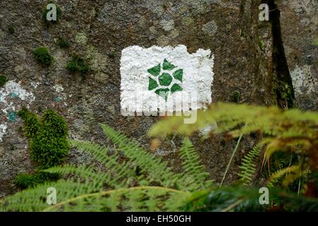 Francia, Vosges, Ventron, Grand Ventron, Grand Ventron Riserva Naturale, la riserva forestale del logo su una roccia Foto Stock