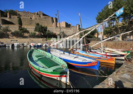 Francia, Pirenei orientali (66), Collioure, barche ormeggiate ai piedi del castello reale di Collioure Foto Stock