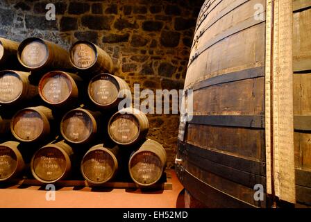 Il Portogallo, Regione Nord, Porto, Vila Nova de Gaia district, barili di vino porto nelle cantine dell'azienda Calem Foto Stock