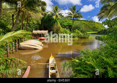 Canoe ormeggiati all'entrata Komokila storico villaggio sul fiume Wailua Valley, Kauai, Hawaii, STATI UNITI D'AMERICA Foto Stock