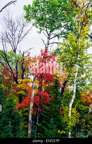 Autunno in Renfrew valle del centro di Ontario, Canada Foto Stock