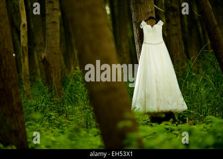 White abito da sposa appeso a una foresta Foto Stock