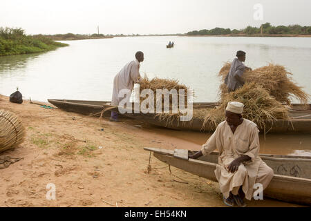 Vicino a Niamey, NIGER, 15 Maggio 2012: Ferrymen trasportare balle di fieno attraverso il Fiume Niger Foto Stock