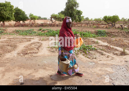 Le donne del gruppo giardino, Tera, a ovest del Niger: Ramata Hama, 38, uno di 52 donne nel locale gruppo di giardinaggio fornisce sia cibo e reddito attraverso la crisi alimentare. Foto Stock