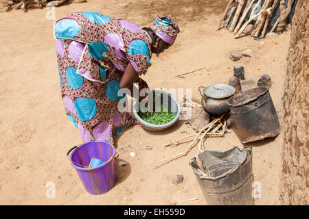 Le donne del gruppo giardino, Tera, a ovest del Niger: Ramata Hama, 38, preparazione di foglie di meringa ha appena scelto per la sua famiglia del pasto. Foto Stock