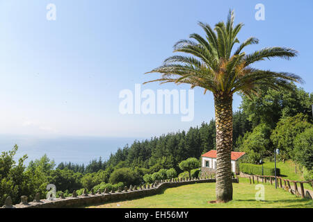 Bellissimo paesaggio con palmtree e casa di San Andres, Galizia, Spagna Foto Stock