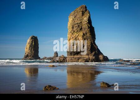 Seastacks nei pressi di Haystack Rock, Cannon Beach, Oregon, Stati Uniti d'America Foto Stock
