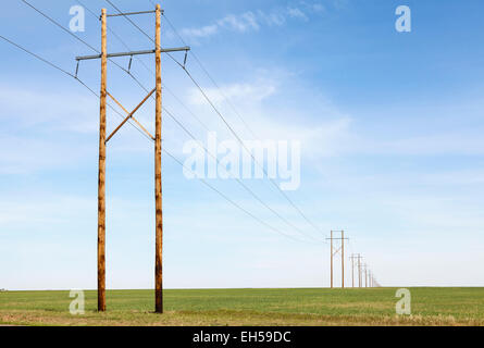 Elettrico di linee di trasmissione e pali di legno da fattorie eoliche in Kiowa County Oklahoma. Doppia terra di utilizzo come è anche un campo di fieno Foto Stock