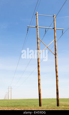 Elettrico di linee di trasmissione e pali di legno da fattorie eoliche in Kiowa County Oklahoma. Doppia terra di utilizzo come è anche un campo di fieno Foto Stock