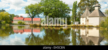 Forni di luppolo a Bushy Park, vicino New Norfolk, Tasmania Foto Stock