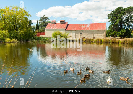 Forni di luppolo a Bushy Park, vicino New Norfolk, Tasmania Foto Stock