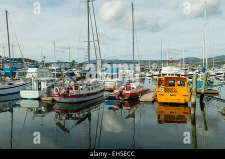 Marina di Lindisfarne, Hobart, Tasmania, Australia Foto Stock