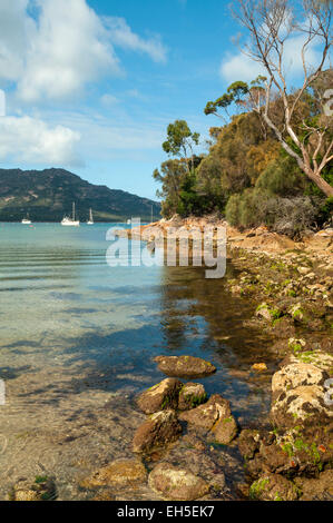 I pericoli da Coles Bay, il Freycinet NP, Tasmania, Australia Foto Stock