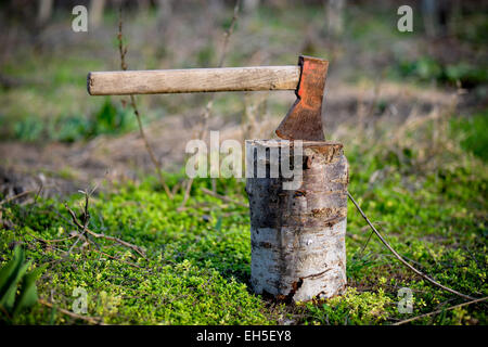 Ax bloccato in un tronco di legno nella luce naturale Foto Stock