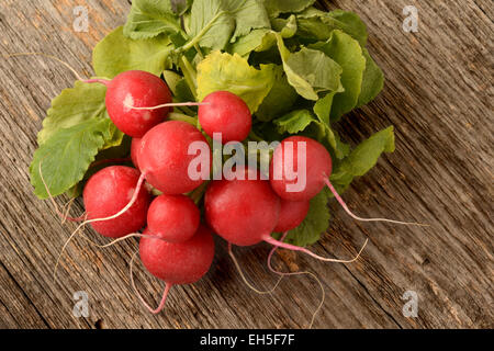 Radicchio Rosso posto sulla vecchia texture di legno Foto Stock