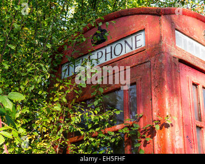 Fatiscenti vecchie cabine telefoniche in parte ricoperta da una siepe. Foto Stock